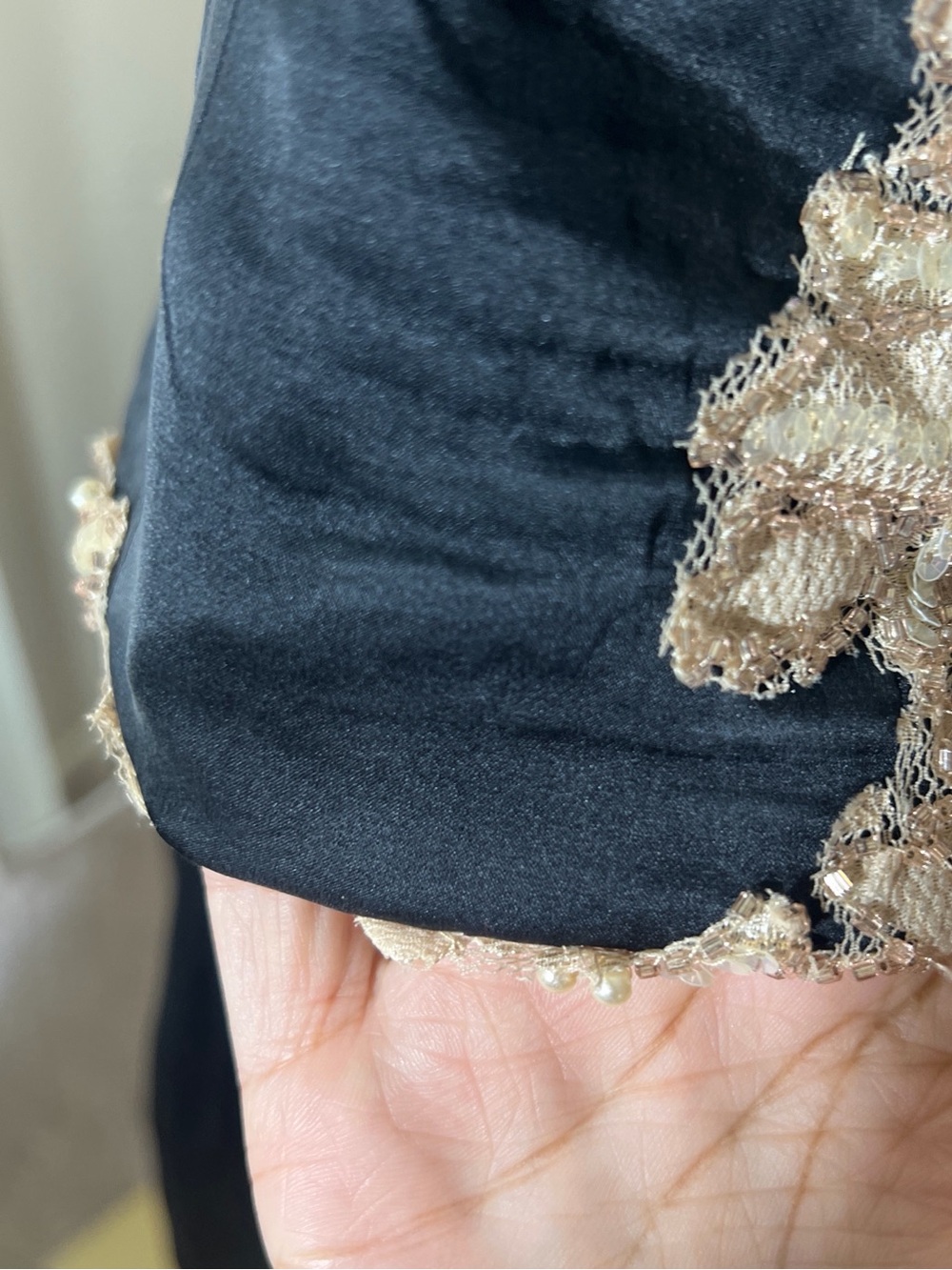 Cache Black and Champagne Silk Lace Beaded Set - Picture 6 of 8